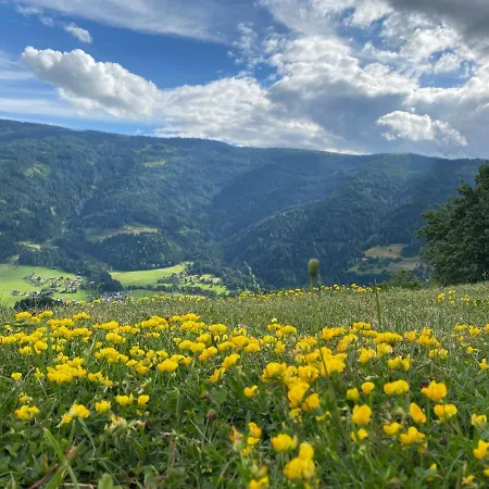 Almhaus Scherff Afritz am See